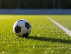 河内公安逆,转国安,张健智英勇,新葡京app,澳门新葡京娱乐城app,澳门新葡京娱乐城官网