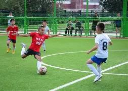 哈萨,状态回升,专家详解大,新葡京app,澳门新葡京娱乐城app,澳门新葡京娱乐城官网