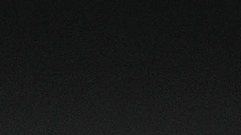 国家粮油信息中心召开玉米市场走势研讨会