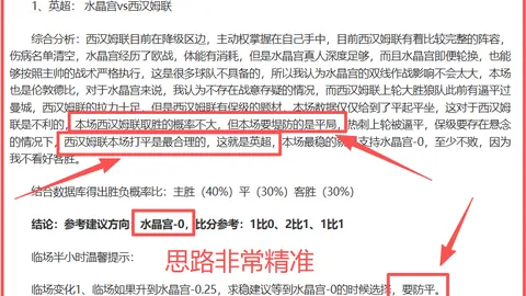 新西兰联赛事分析：专家推荐期号胜负及总分详情