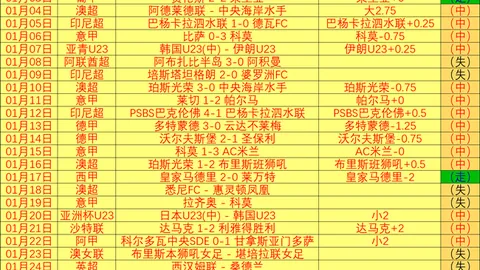 意甲球星引关注：阿森纳等队欲签坎比亚索与帕莱斯特拉